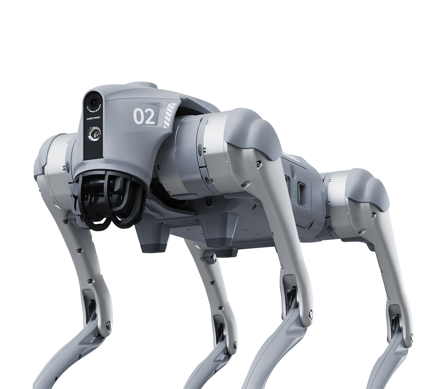 Unitree Go2 quadruped robot