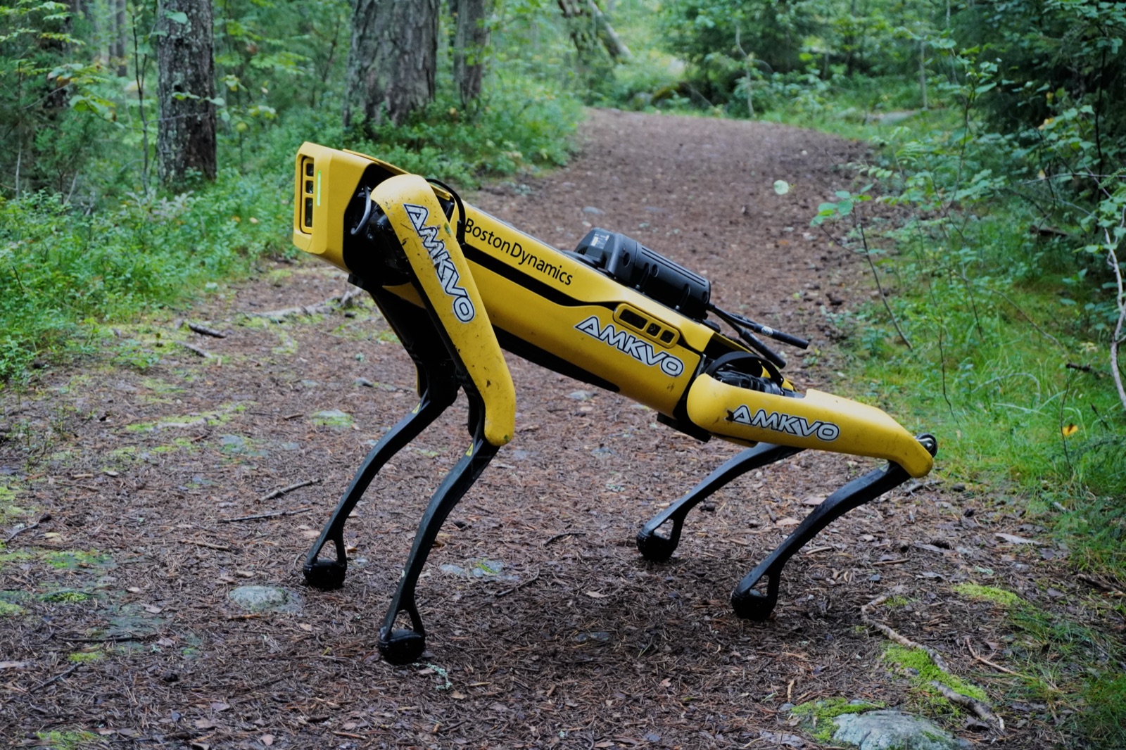 Boston Dynamics Spot quadruped with manipulator arm